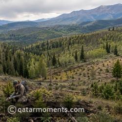 Scientists Uncover a Strange New Phenomenon in U.S. Forests